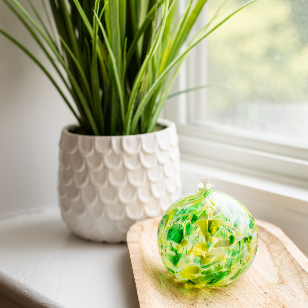 Dark and light green and white round oil lamp on a wood tray in front of a green plant in a textured white pot